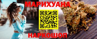 сатива Славгород